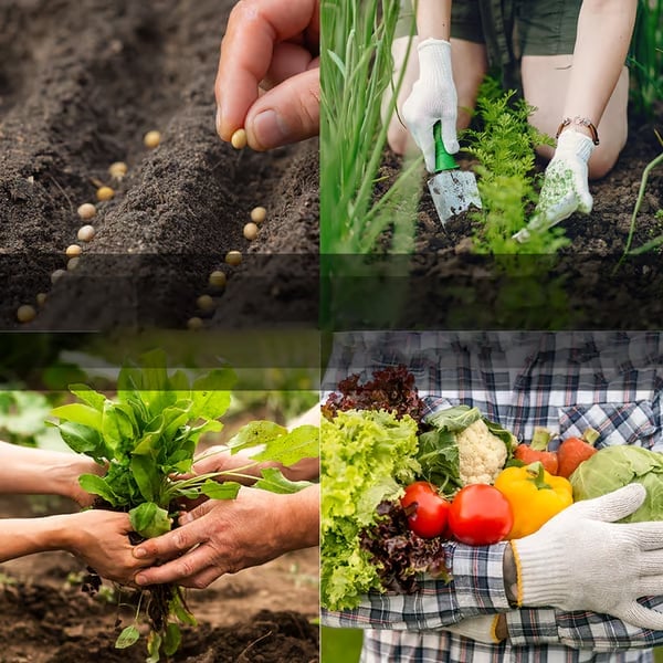 Last Day 49% OFF-Vegetable Seed Vault Kit | 35 Variety Pack